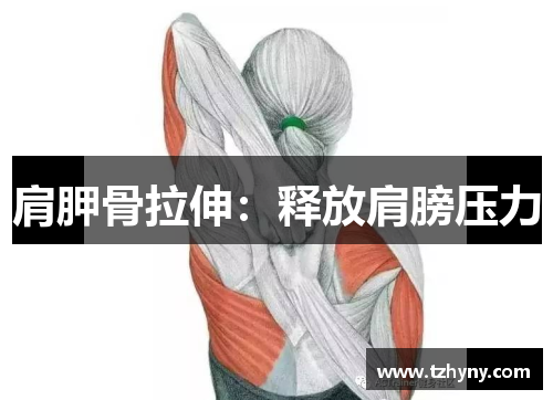 肩胛骨拉伸：释放肩膀压力